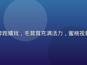可爱柴犬在草地上奔跑嬉戏，毛茸茸充满活力，蜜桃视频萌宠专区内容展示