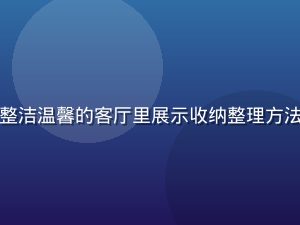 居家生活技巧视频场景，整洁温馨的客厅里展示收纳整理方法，蜜桃视频生活技巧专区